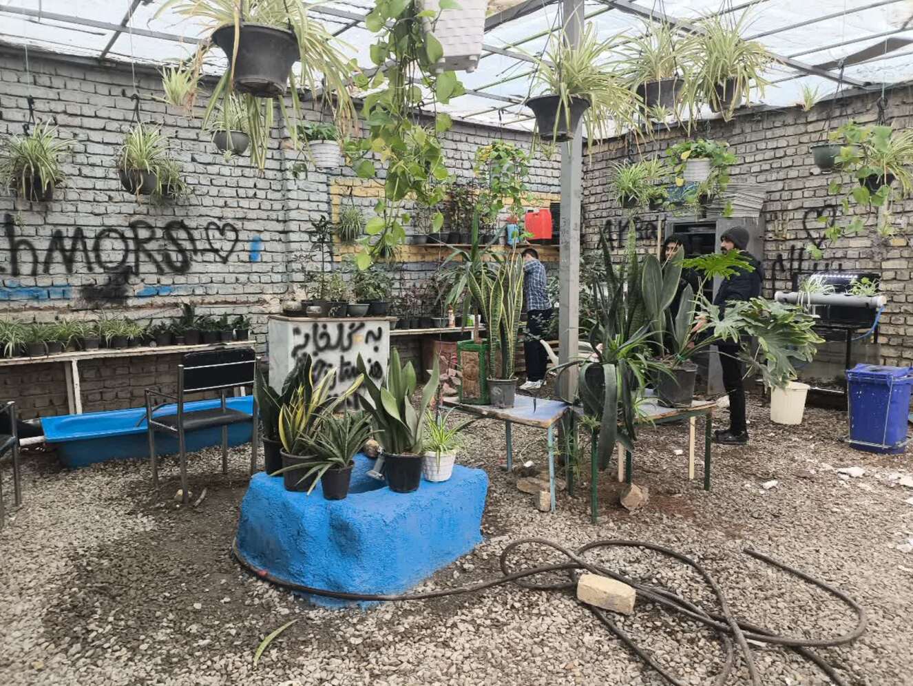 گلخانه کشاورزی