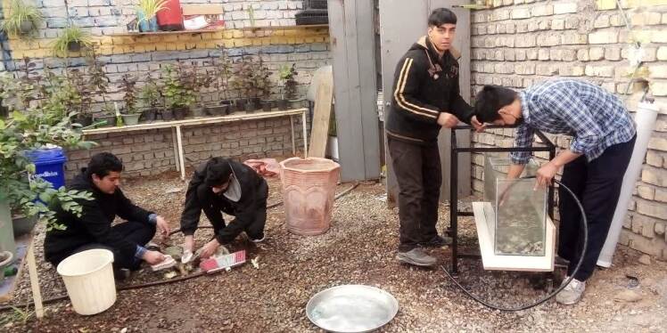 هنرجویان رشته کشاورزی درحال ساخت و آماده سازی پروژه 